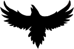 A raven’s wings spread